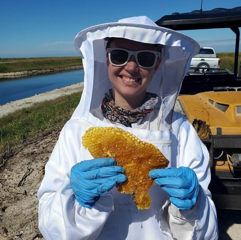 Friendly Bee Removal Service Plantation Florida
