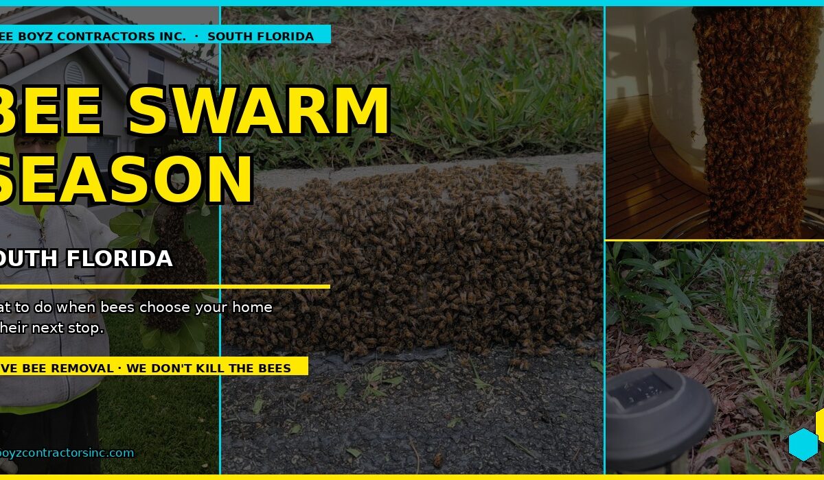 Bee Swarm Season in South Florida: What You Should Know & What to Do