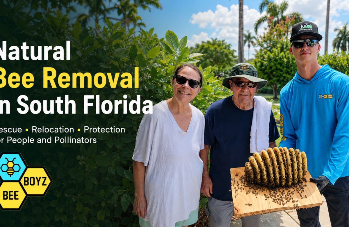 Natural Bee Removal in South Florida: Rescue and Relocation